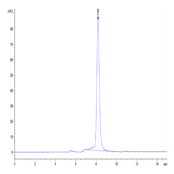 Cynomolgus 4-1BB Ligand/TNFSF9 Protein (BBL-CM241)