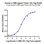 Human 4-1BB Ligand/TNFSF9 Trimer Protein (BBL-HM141)