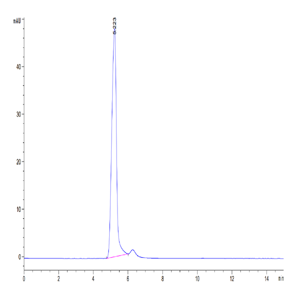 Human 4-1BB Ligand/TNFSF9 Trimer Protein (BBL-HM241)