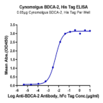 Cynomolgus BDCA-2 Protein (BCA-CM102)