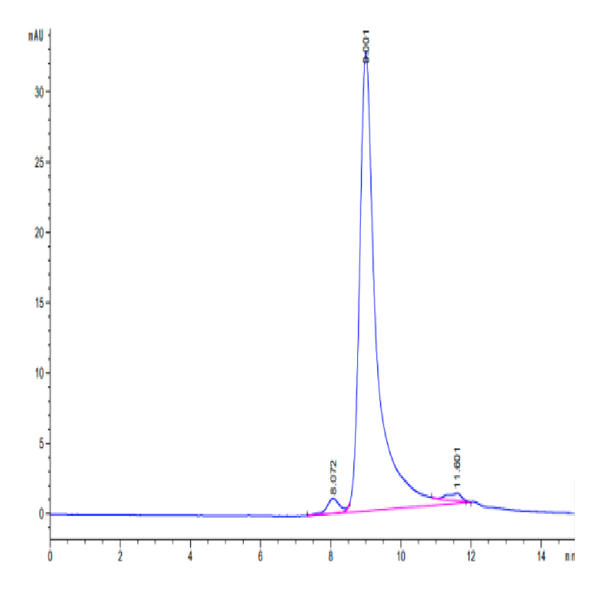 Cynomolgus BDCA-2 Protein (BCA-CM102)