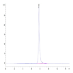 Cynomolgus BCAM Protein (BCA-CM10M)