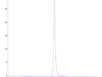 Cynomolgus BCAM Protein (BCA-CM10M)