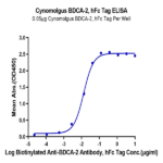 Cynomolgus BDCA-2 Protein (BCA-CM202)