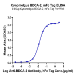 Cynomolgus BDCA-2 Protein (BCA-CM302)
