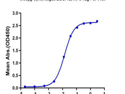 Cynomolgus BDCA-2 Protein (BCA-CM302)