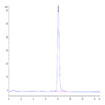 Cynomolgus BDCA-2 Protein (BCA-CM302)