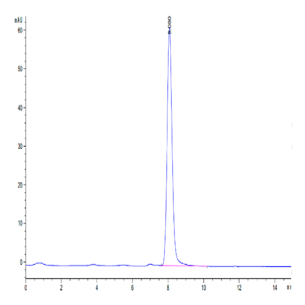 Cynomolgus BDCA-2 Protein (BCA-CM302)