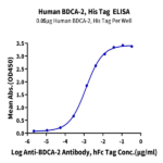 Human BDCA-2 Protein (BCA-HM102)