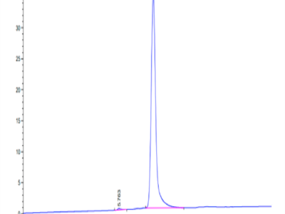 Human BCAM Protein (BCA-HM10M)