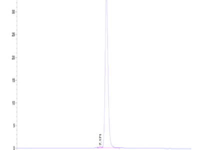 Mouse BCAM Protein (BCA-MM10M)