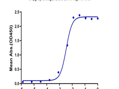 Cynomolgus/Rhesus macaque BCMA/TNFRSF17 Protein (BCM-CM217)