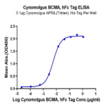 Cynomolgus/Rhesus macaque BCMA/TNFRSF17 Protein (BCM-CM217)