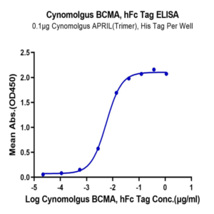 Cynomolgus/Rhesus macaque BCMA/TNFRSF17 Protein (BCM-CM217)