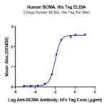 Human BCMA/TNFRSF17 Protein (BCM-HM117)
