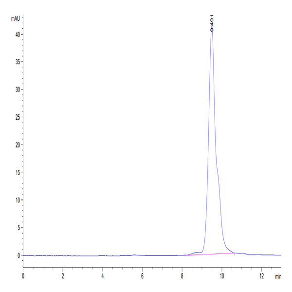 Human BCMA/TNFRSF17 Protein (BCM-HM117)