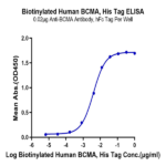 Biotinylated Human BCMA/TNFRSF17 Protein (BCM-HM117B)