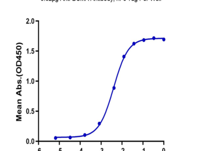 Biotinylated Human BCMA/TNFRSF17 Protein (BCM-HM117B)
