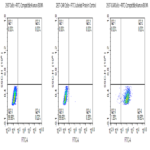 FITC-Compatible Human BCMA/TNFRSF17 Protein (BCM-HM117C)