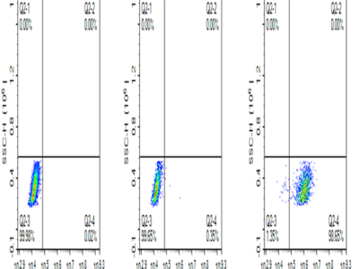 FITC-Compatible Human BCMA/TNFRSF17 Protein (BCM-HM117C)