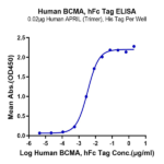 Human BCMA/TNFRSF17 Protein (BCM-HM217)