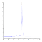 Human BCMA/TNFRSF17 Protein (BCM-HM217)