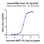 Human BCMA/TNFRSF17 Trimer Protein (BCM-HM417)