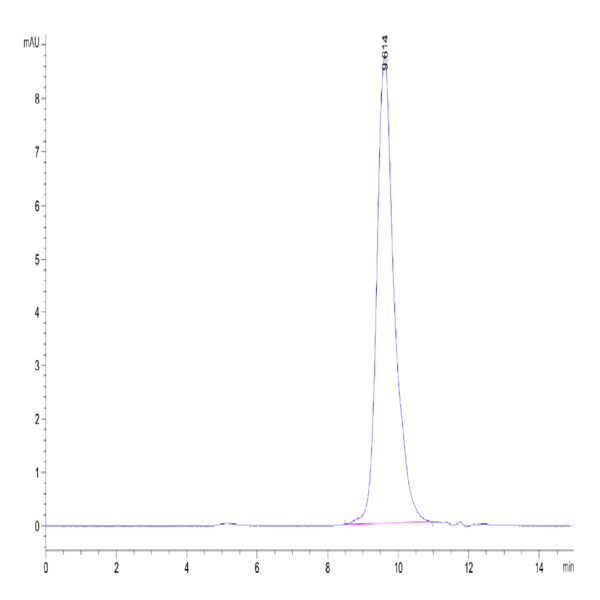 Human BCMA/TNFRSF17 Trimer Protein (BCM-HM417)