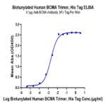 Biotinylated Human BCMA/TNFRSF17 Trimer Protein (BCM-HM417B)