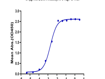 Biotinylated Human BCMA/TNFRSF17 Trimer Protein (BCM-HM417B)