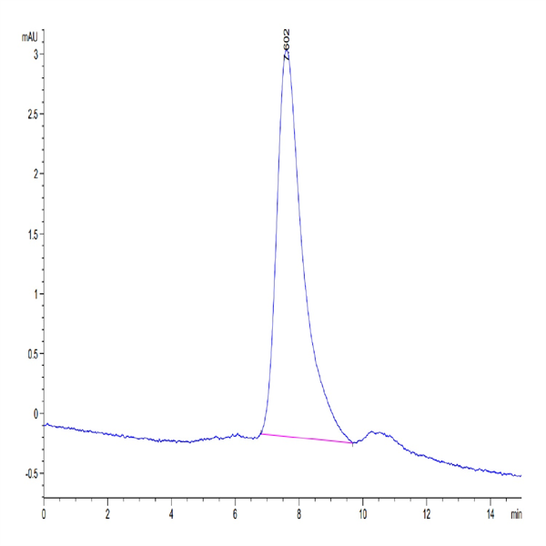 Biotinylated Human BCMA/TNFRSF17 Trimer Protein (BCM-HM417B)