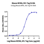 Mouse BCMA/TNFRSF17 Protein (BCM-MM217)