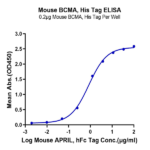 Mouse BCMA/TNFRSF17 Protein (BCM-MM417)
