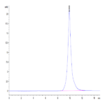 Mouse BCMA/TNFRSF17 Protein (BCM-MM417)