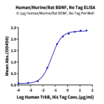 Human/Murine/Rat BDNF Protein (BDF-HE001)