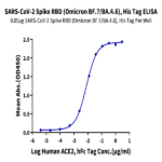 SARS-CoV-2 Spike RBD (Omicron BF.7/BA.4.6) Protein (BF7-HM146)