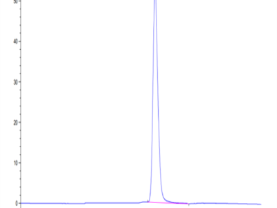 Human BPIFA1/LUNX Protein (BFA-HE0A1)