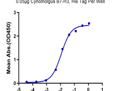 Cynomolgus B7-H3/CD276 Protein (BH7-CM173)
