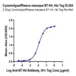 Cynomolgus/Rhesus macaque B7-H4 Protein (BH7-CM174)