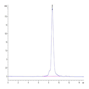 Cynomolgus/Rhesus macaque B7-H4 Protein (BH7-CM174)