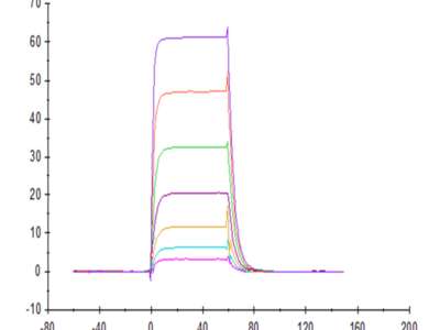 Cynomolgus B7-H6/NCR3LG1 Protein (BH7-CM176)