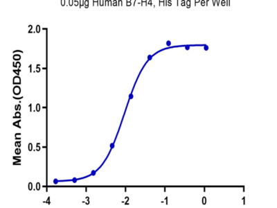 Human B7-H4 Protein (BH7-HM174)