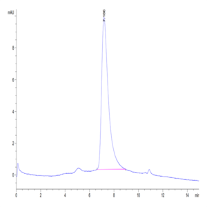 Biotinylated Human B7-H4 Protein (BH7-HM174B)