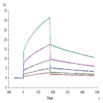 Human B7-H6/NCR3LG1 Protein (BH7-HM176)