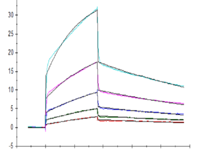 Human B7-H6/NCR3LG1 Protein (BH7-HM176)