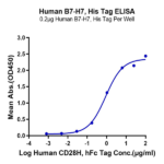 Human B7-H7/HHLA2 Protein (BH7-HM177)