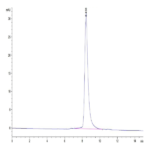 Human B7-H7/HHLA2 Protein (BH7-HM177)