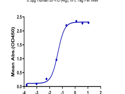 Human B7-H3 (4Ig) /B7-H3b Protein (BH7-HM23B)