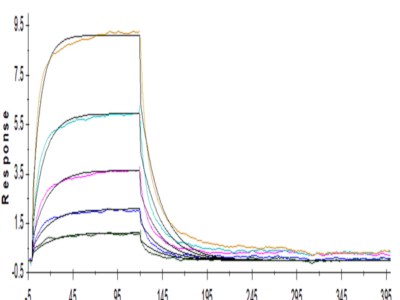 Human B7-H2/ICOSLG Protein (BH7-HM272)