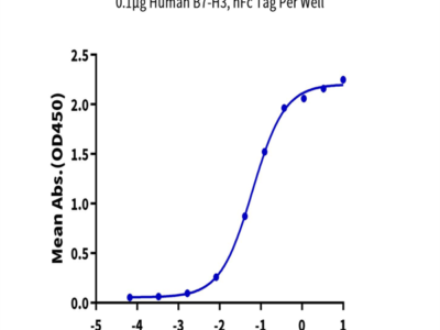 Human B7-H3/CD276 Protein (BH7-HM273)